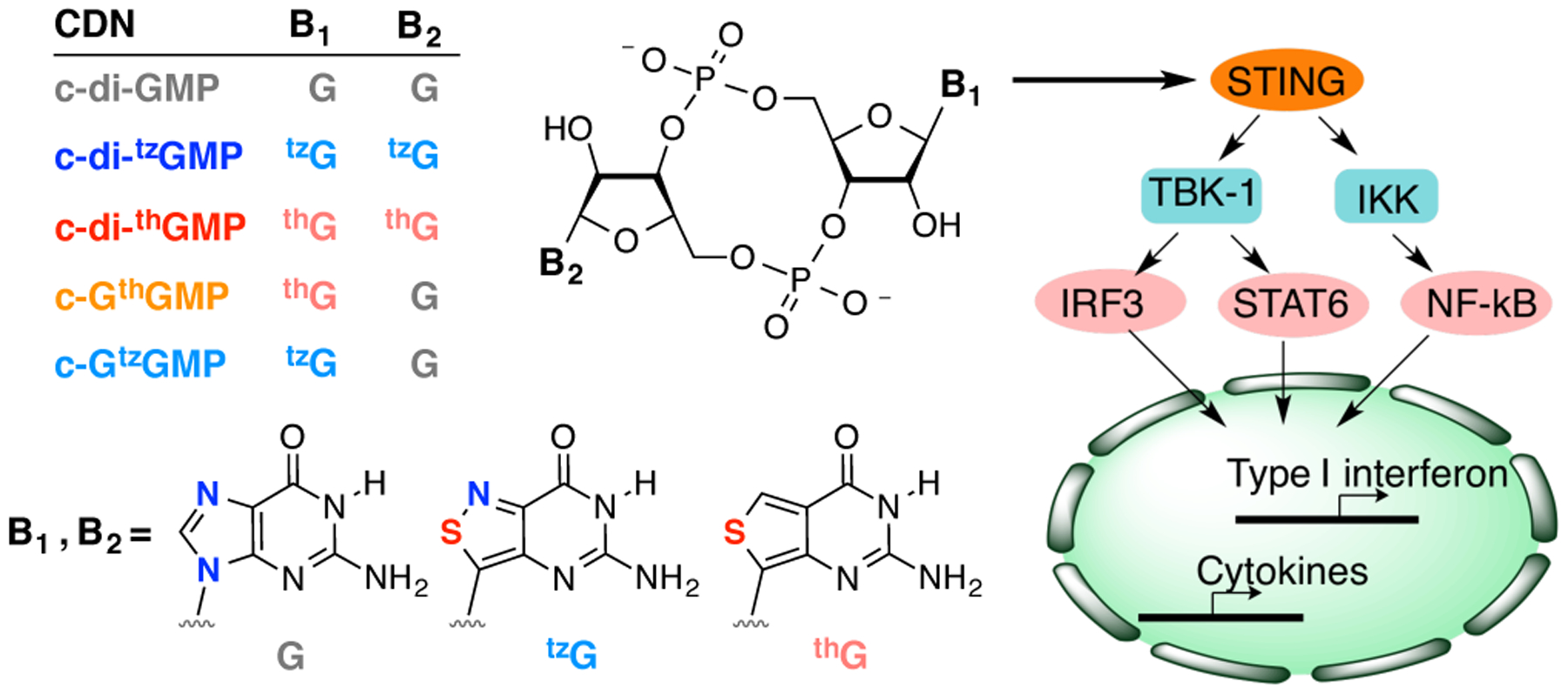 Figure 1.