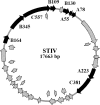 FIG. 3.