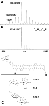 FIG. 8.