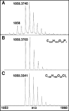 FIG. 7.