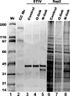 FIG. 5.