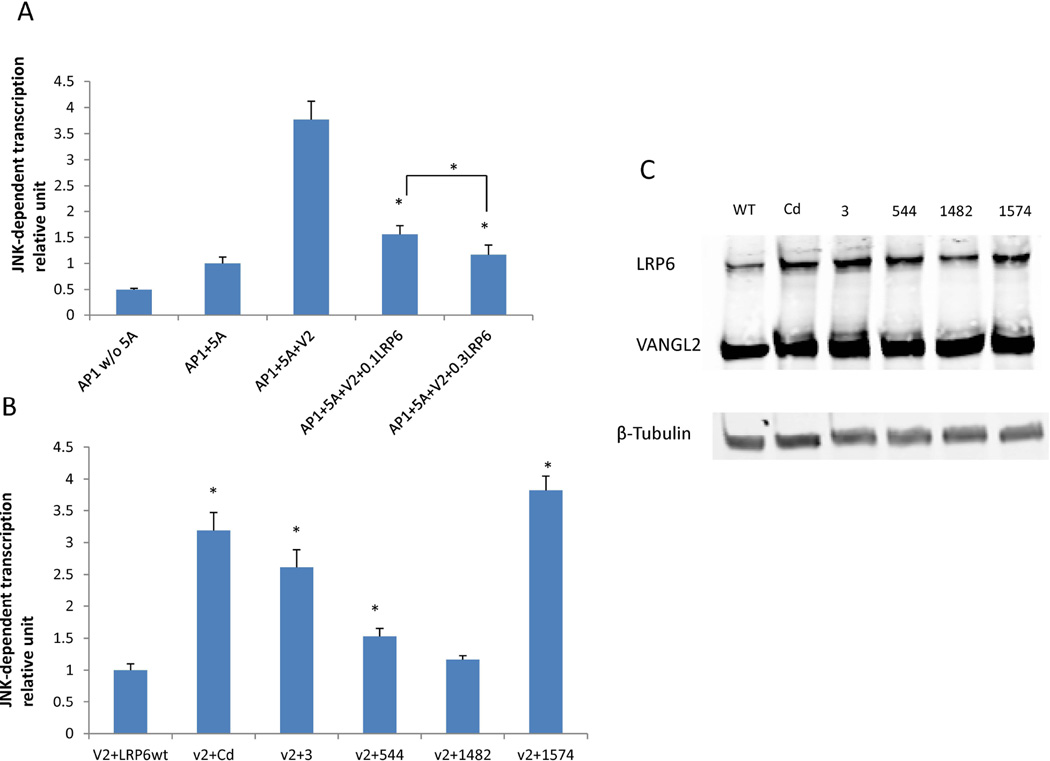 Figure 5