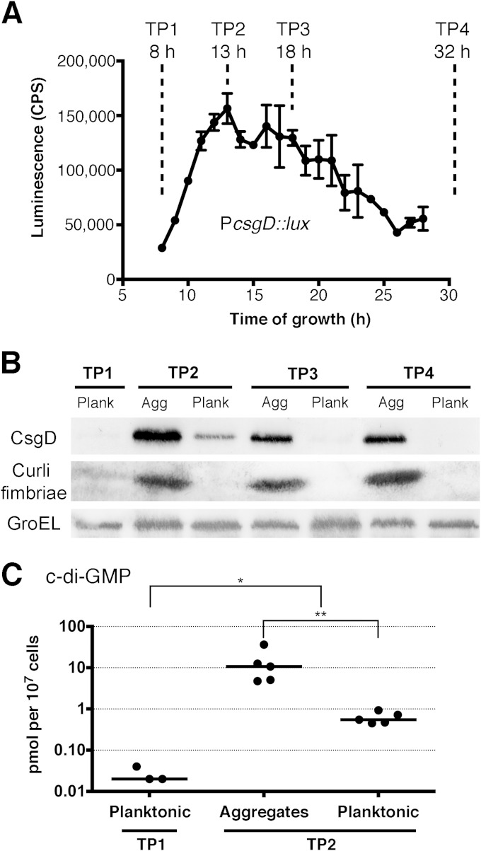 FIG 2