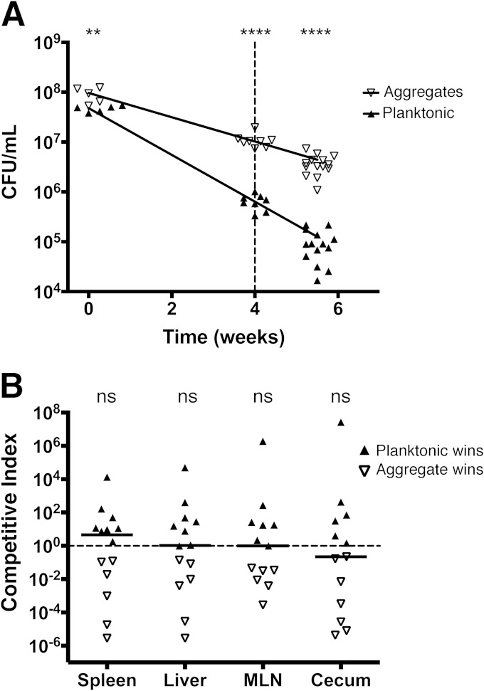 FIG 7