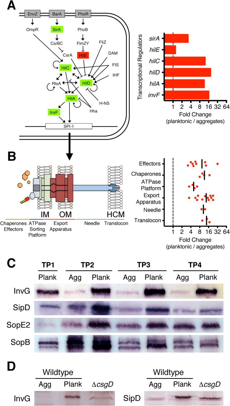 FIG 4