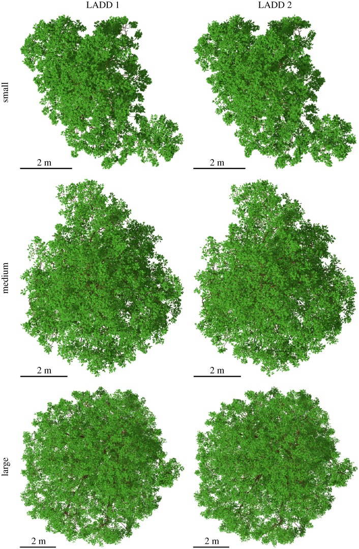 Figure 12.