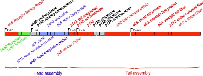 FIG 2