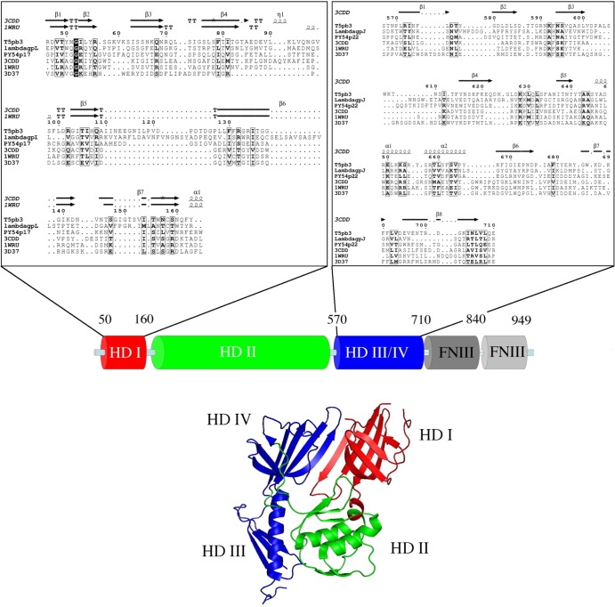 FIG 4