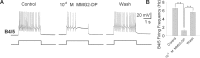 Figure 10.