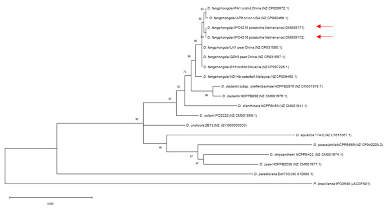 Figure 4