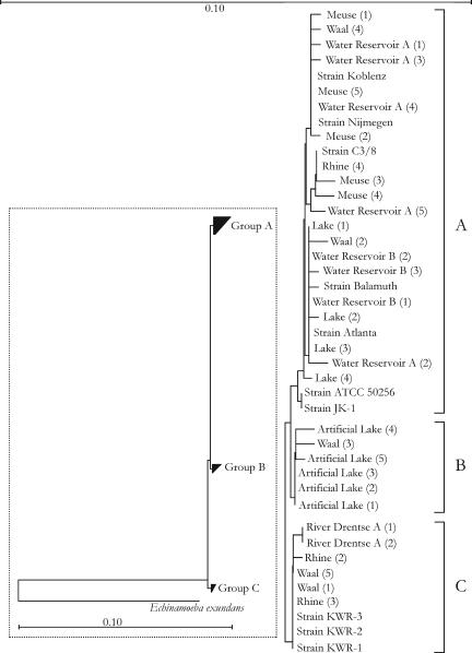 FIG. 5.