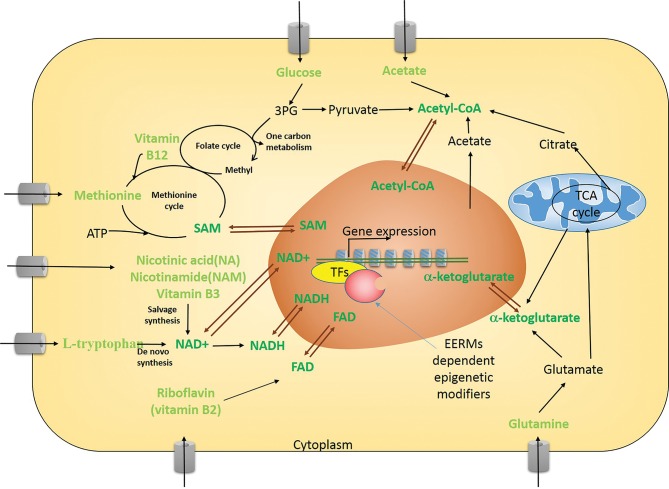 Figure 2.