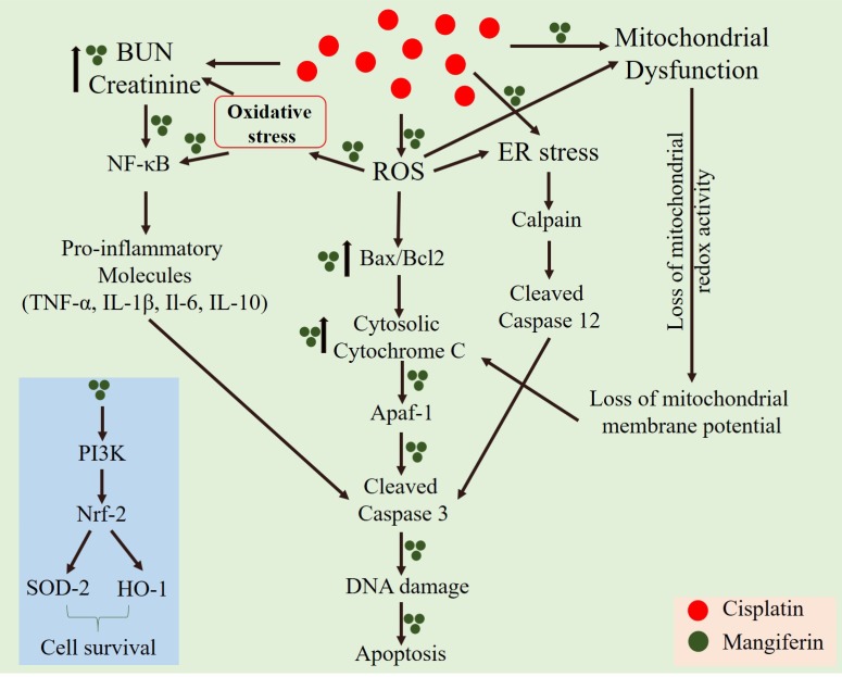 FIGURE 15