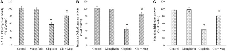 FIGURE 11