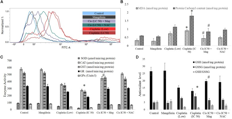 FIGURE 3