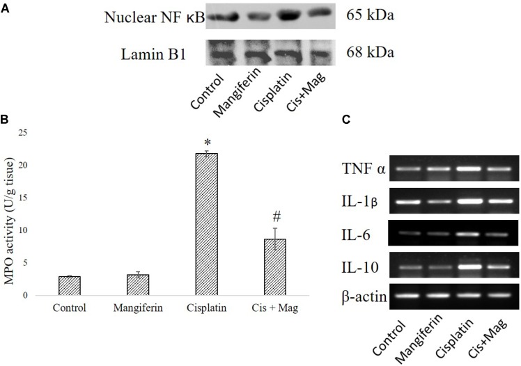 FIGURE 12