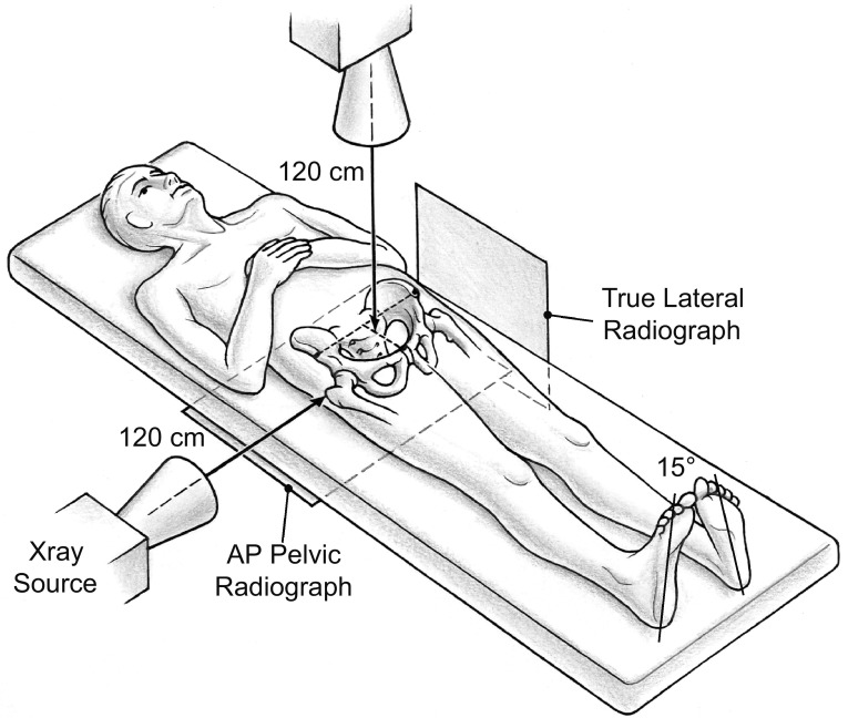 Fig. 2