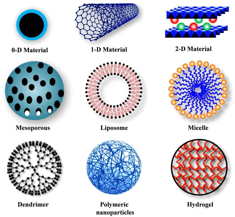 FIGURE 1