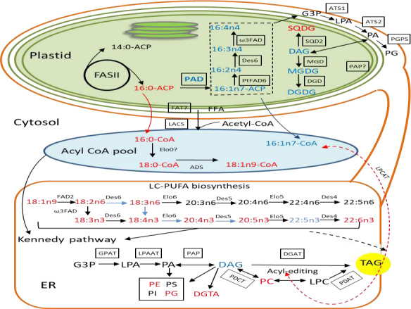 Figure 5