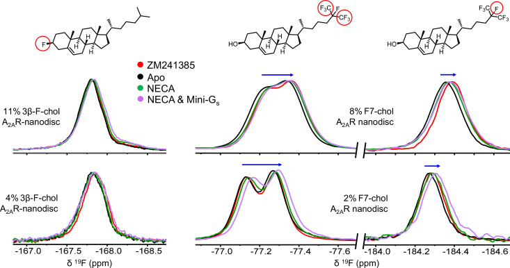 Figure 6—figure supplement 2.