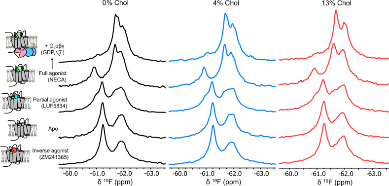 Figure 3—figure supplement 1.