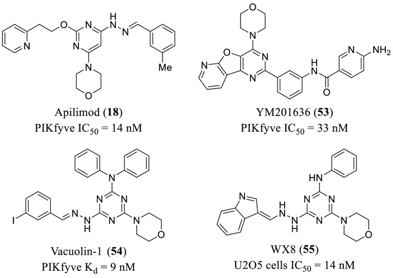 Figure 11