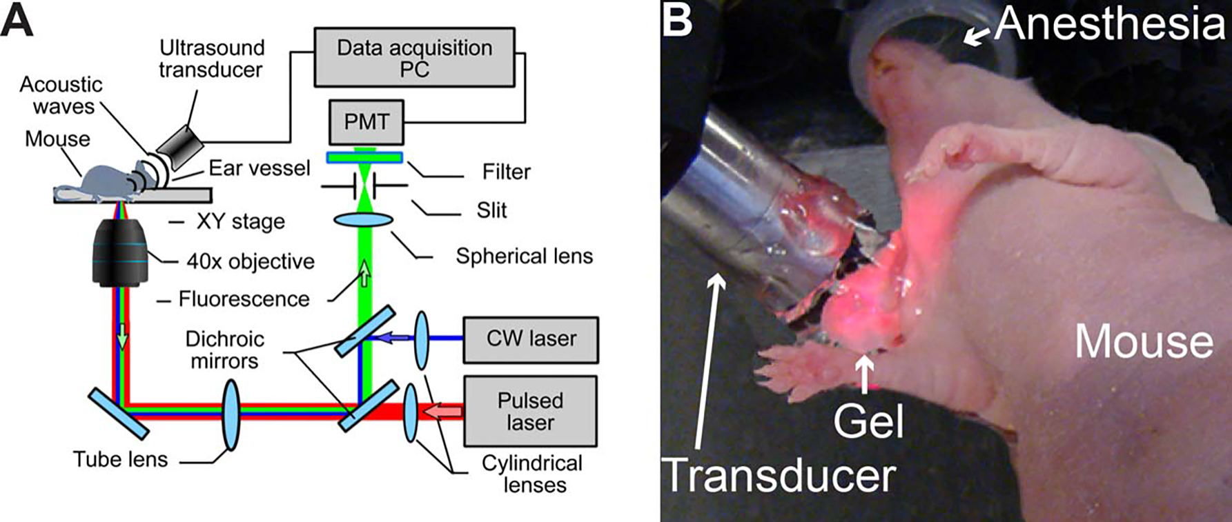 FIGURE 2.