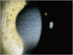 FIGURE 19.