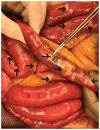 Figure 3: