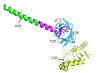 Supplementary Figure 1