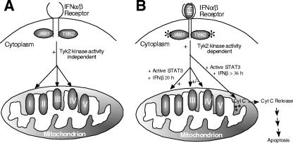 FIG. 7.