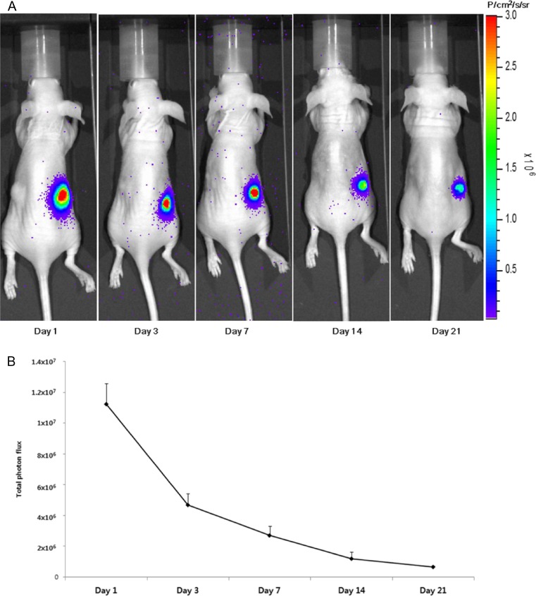 Fig. 2