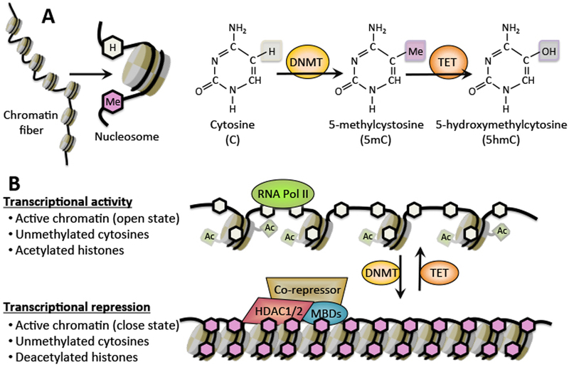 Figure 1: