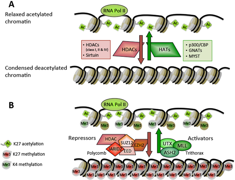 Figure 2: