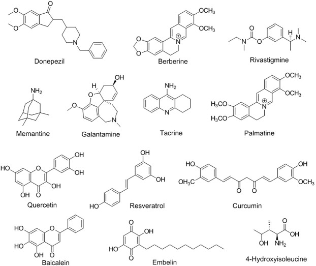 FIGURE 2