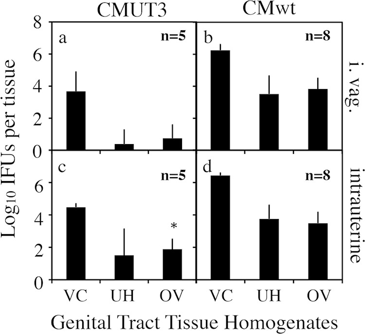 FIG 4