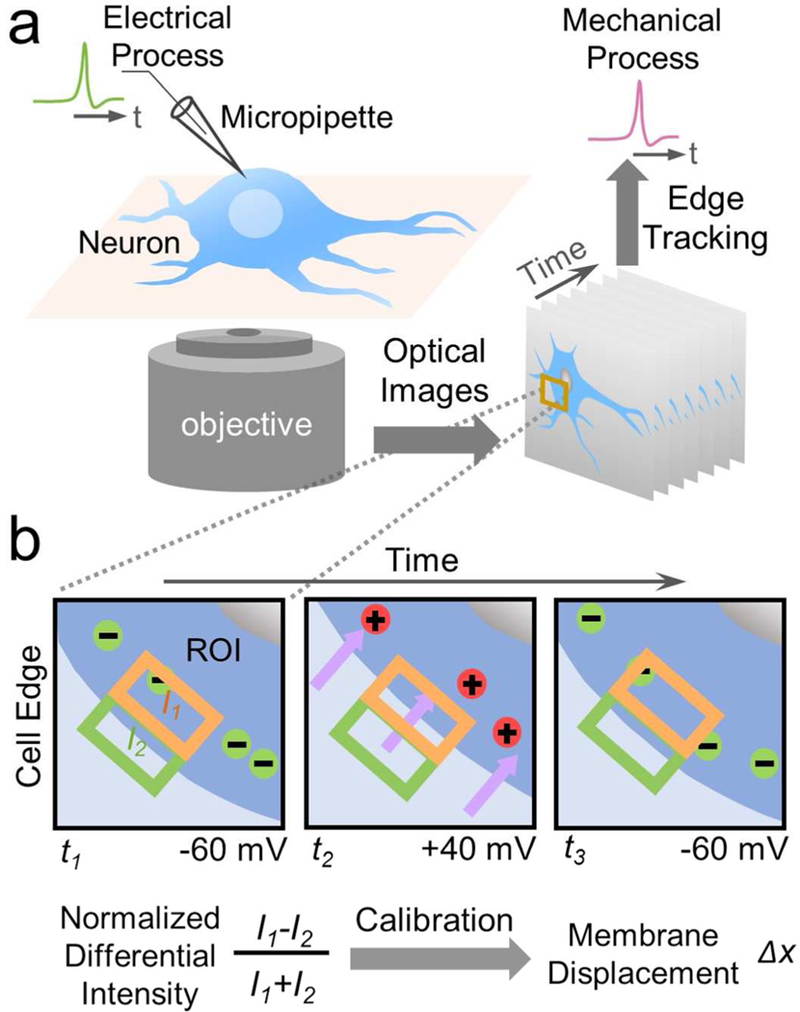 Figure 1: