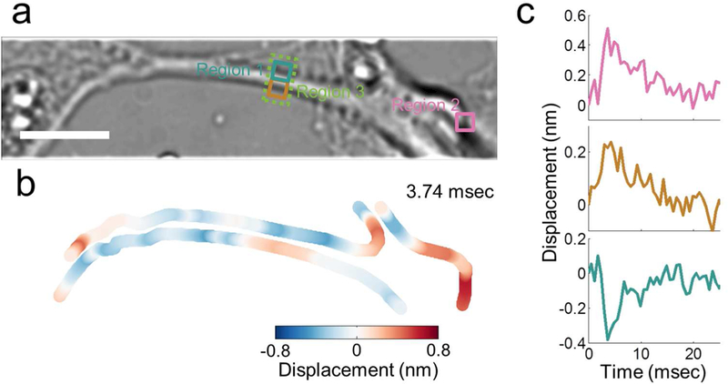 Figure 4: