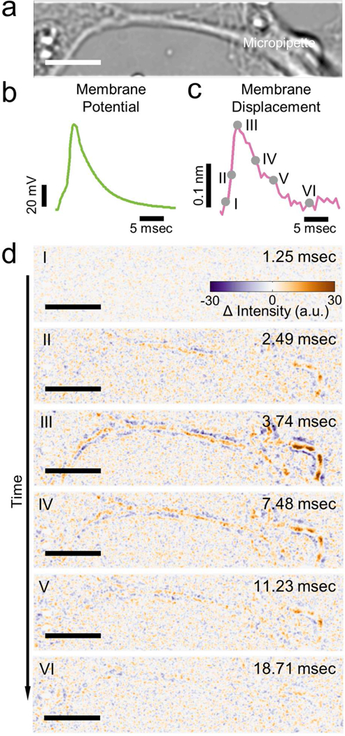 Figure 3: