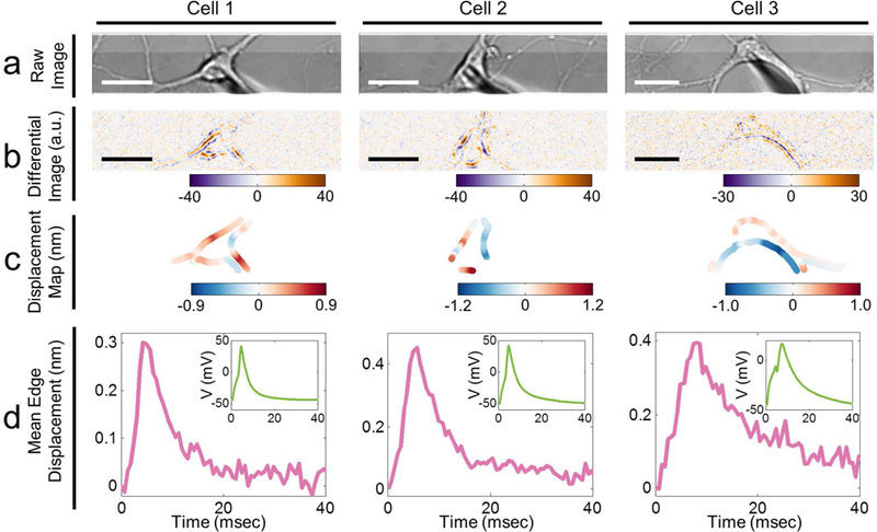 Figure 5: