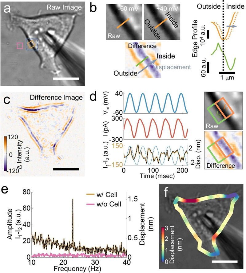 Figure 2: