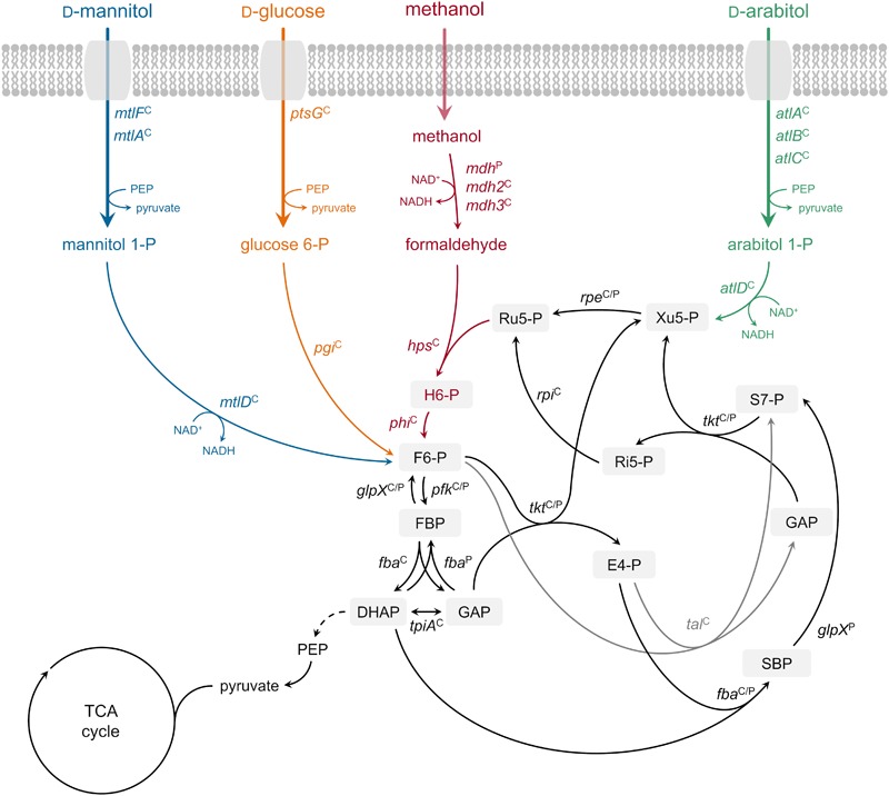 FIGURE 6