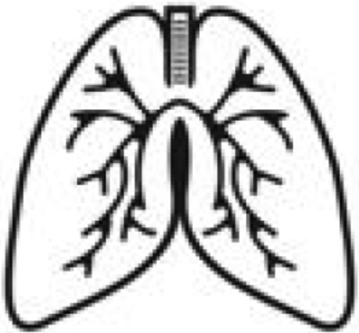 graphic file with name nihms-1802293-t0004.jpg