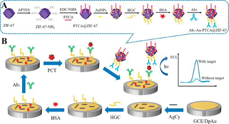 Figure 12