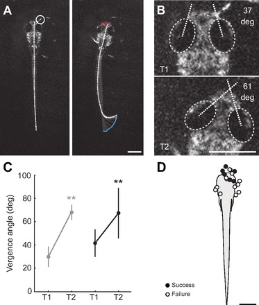 Fig. 9.