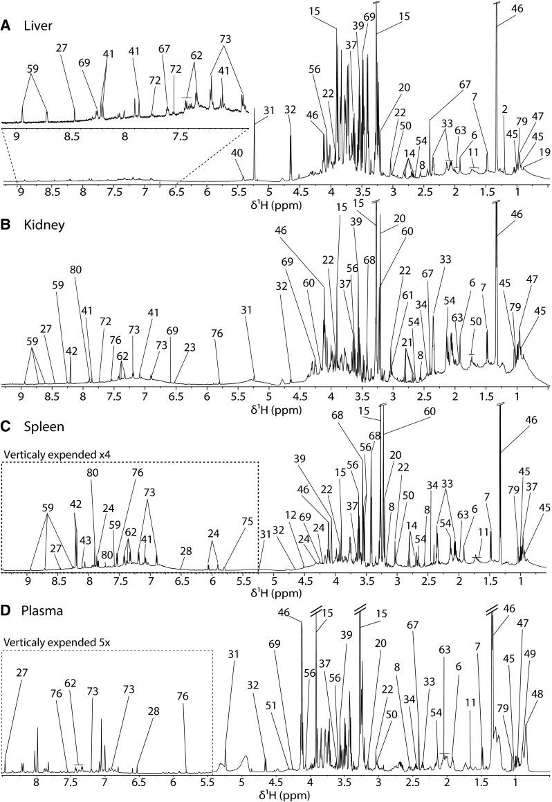 Fig. 1