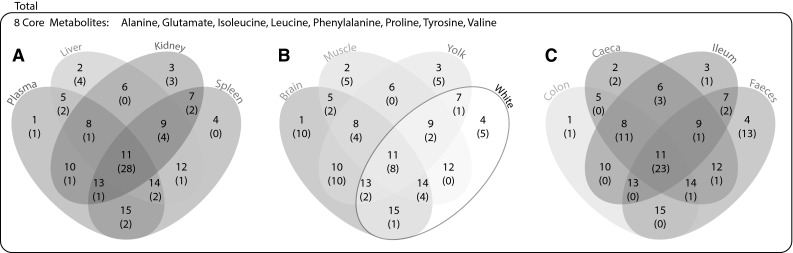 Fig. 4