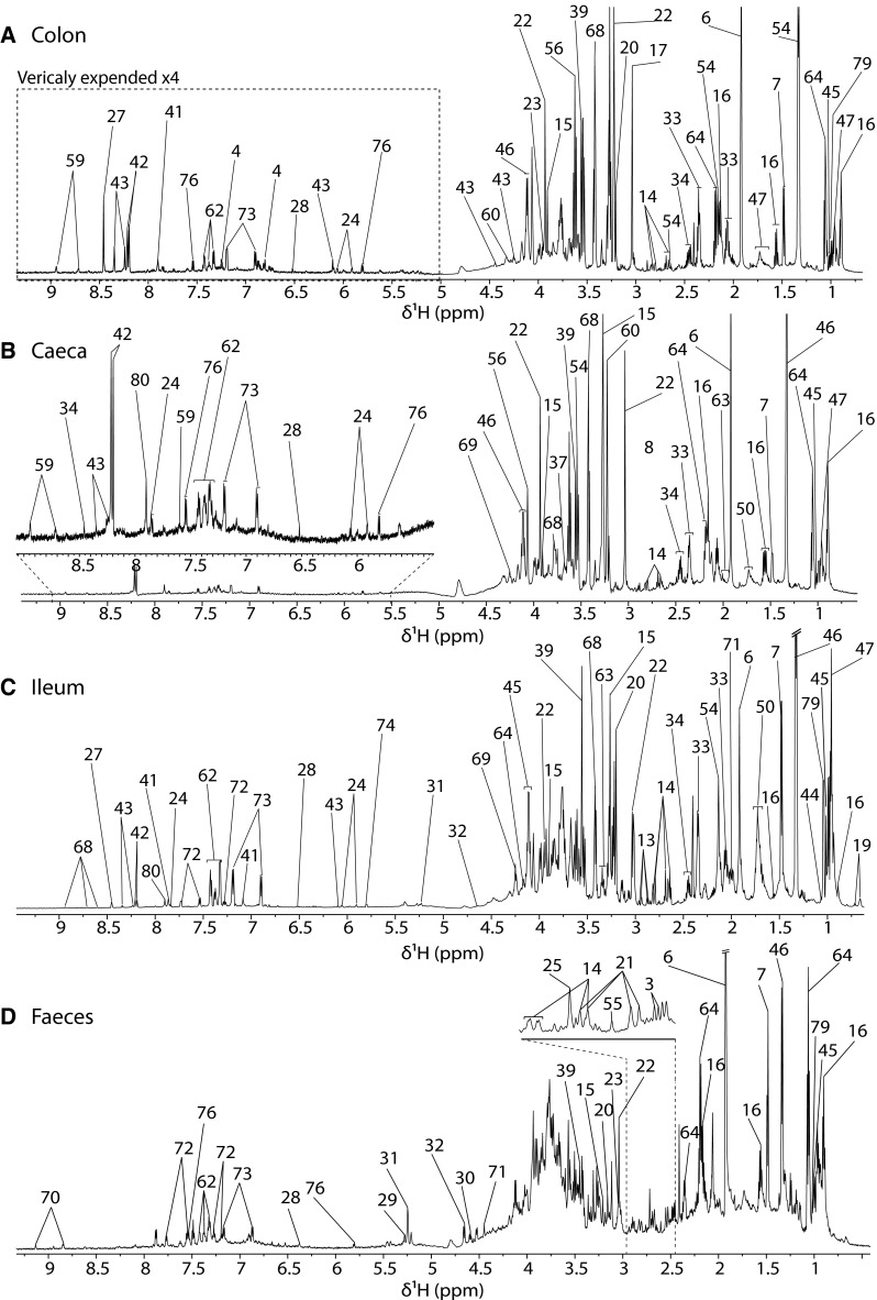 Fig. 3