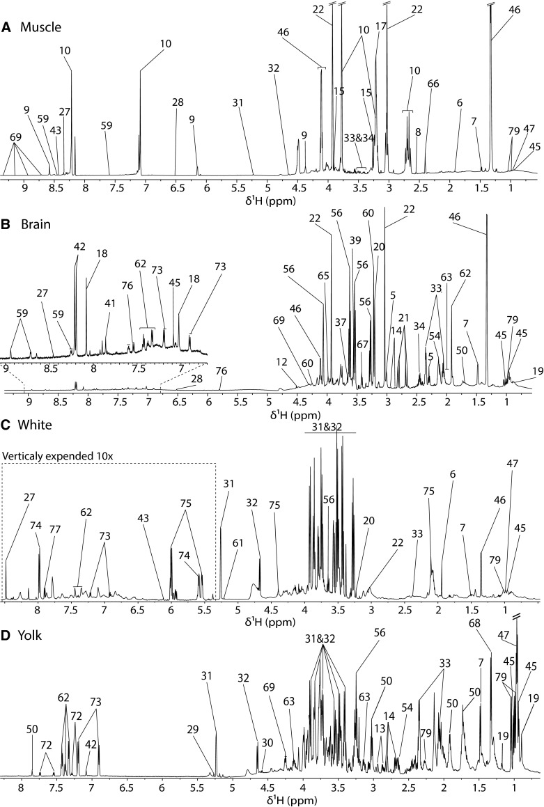 Fig. 2