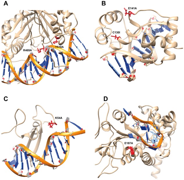 Fig. 5.